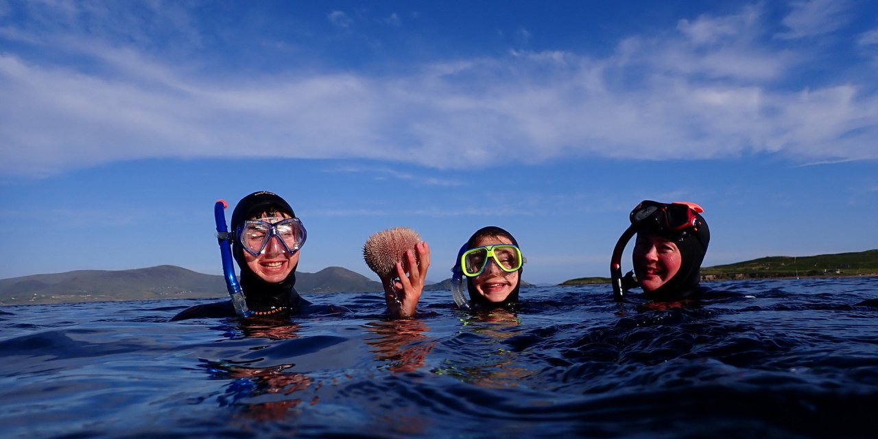 snorkel group featuring sea life